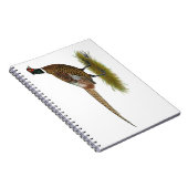 Carnet Coq de faisan (Côté Droit)