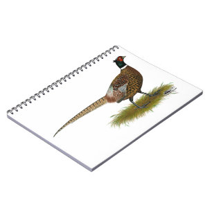 Carnet Coq de faisan