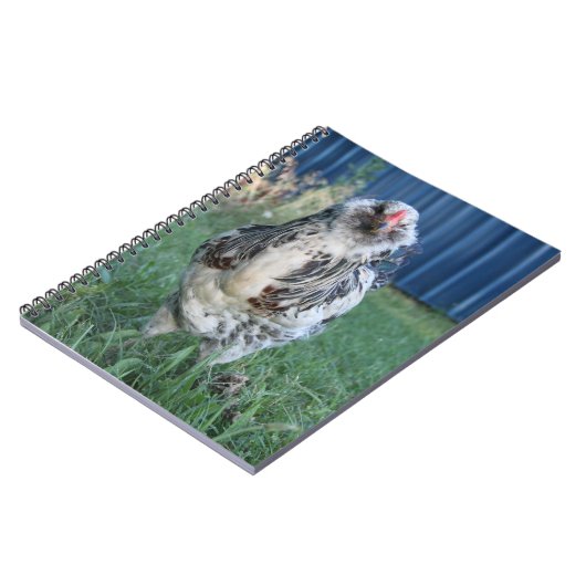 Carnet Coq de Pâques Egger (Côté gauche)