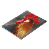 Carnet Coq domestique de basse-cour (Côté gauche)