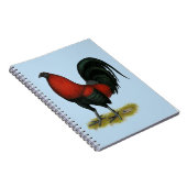 Carnet Coq Rouge Noir BB Jeu Américain (Côté Droit)