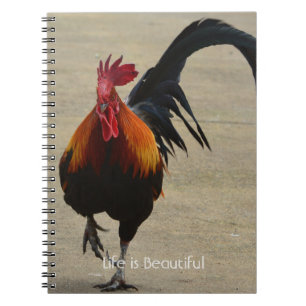 Carnet Coq Rouge Oiseau Kauai (ma photographie)