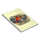 Carnet Coqs Américains Bleus Rouges (Côté Droit)