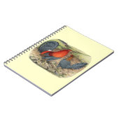 Carnet Coqs Américains Bleus Rouges (Côté gauche)