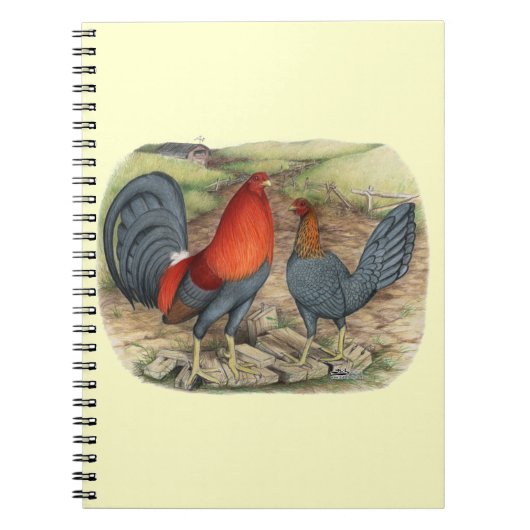 Carnet Coqs Américains Bleus Rouges (Devant)