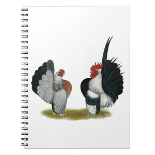 Carnet Coqs nains de Serama