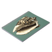 Carnet Coque conique turquoise (Côté gauche)