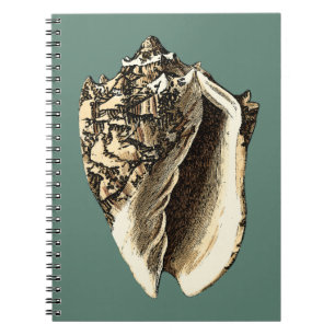 Carnet Coque conique turquoise