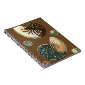 Carnet Coque de cacao (Côté Droit)