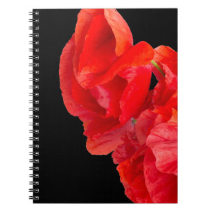 Carnet Coquelicots