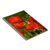 Carnet Coquelicots éclatants (Côté Droit)