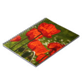 Carnet Coquelicots éclatants (Côté gauche)