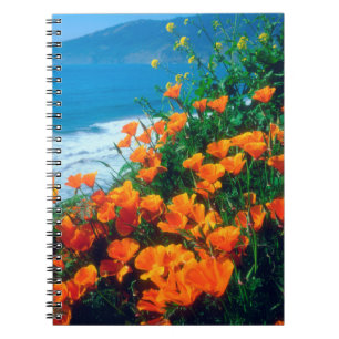 Carnet Coquelicots le long de la côte Pacifique près de B