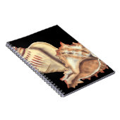 Carnet Coques de conques artistiques (Côté Droit)