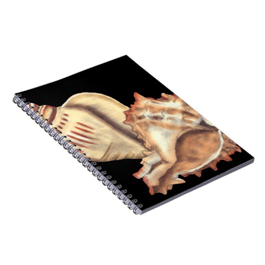 Carnet Coques de conques artistiques (Côté Droit)