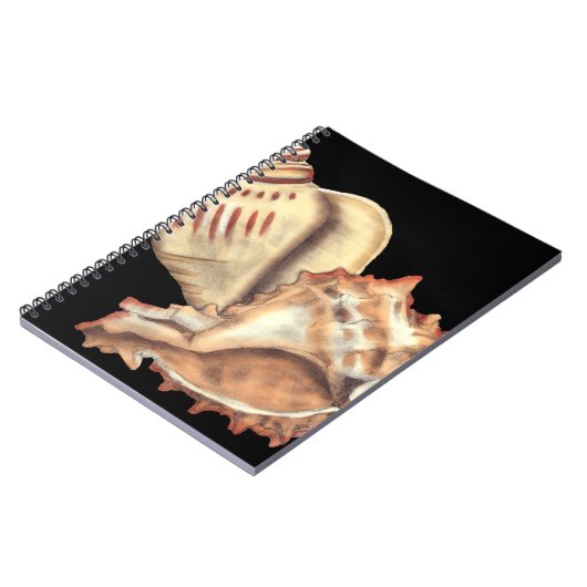 Carnet Coques de conques artistiques (Côté gauche)