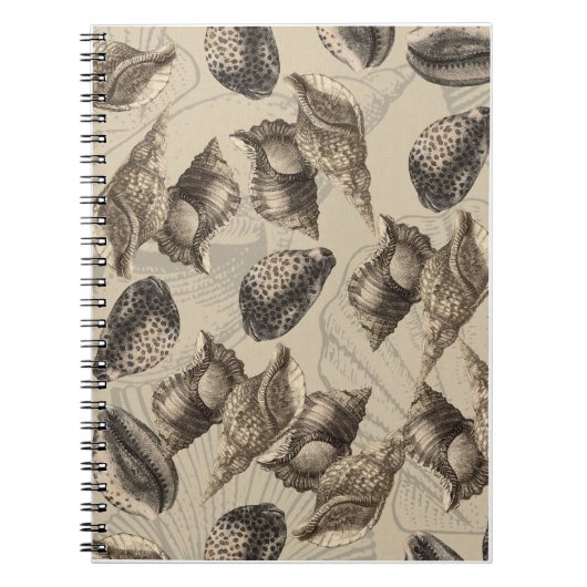 Carnet Coques de mer (Devant)