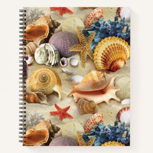 Carnet Coques de mer sur la plage (Devant)