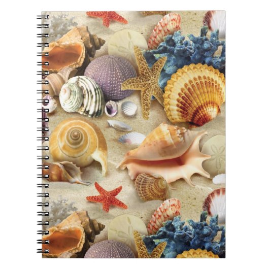 Carnet Coques de mer sur la plage (Devant)