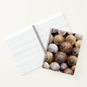 Carnet Coques des escargots (Intérieur)