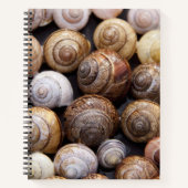 Carnet Coques des escargots (Devant)