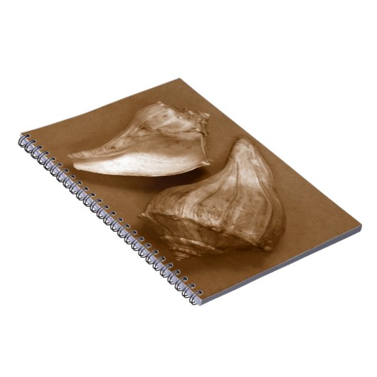 Carnet Coques sensuelles (Côté Droit)