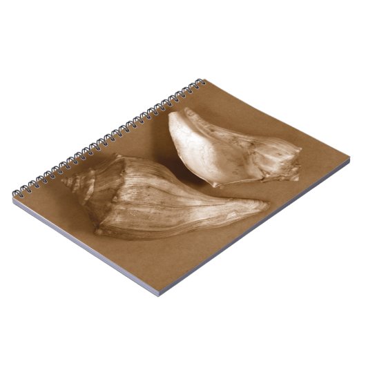 Carnet Coques sensuelles (Côté gauche)