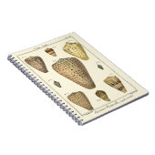 Carnet Coques vintages (Côté Droit)