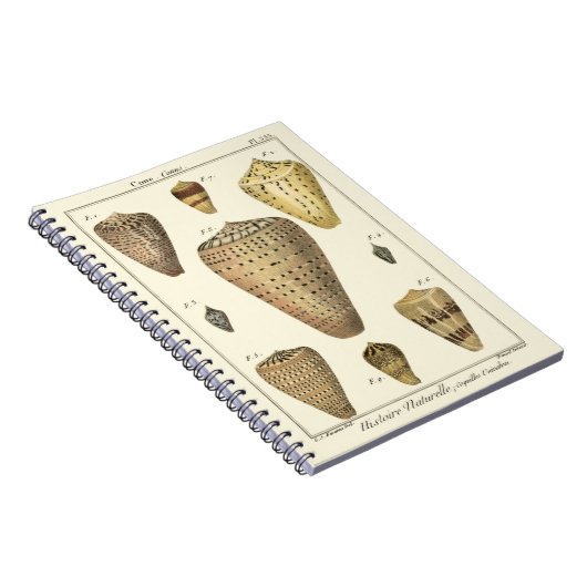 Carnet Coques vintages (Côté Droit)