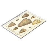 Carnet Coques vintages (Côté gauche)