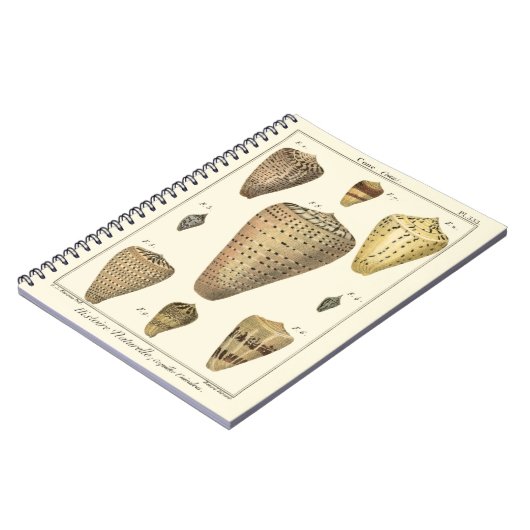 Carnet Coques vintages (Côté gauche)