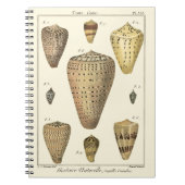 Carnet Coques vintages (Devant)