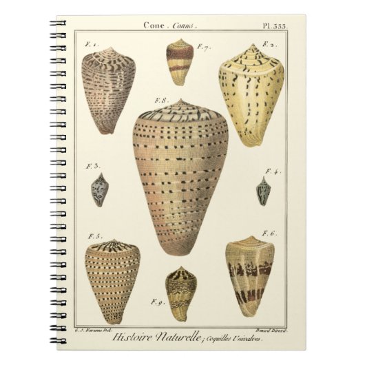 Carnet Coques vintages (Devant)