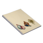 Carnet Coques vintages (Côté Droit)