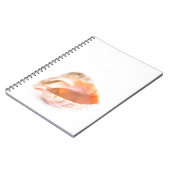 Carnet Coquillage (Côté gauche)