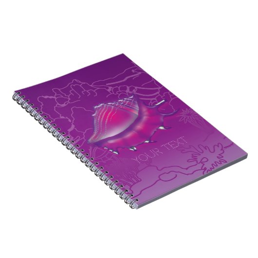 Carnet Coquillage (Côté Droit)