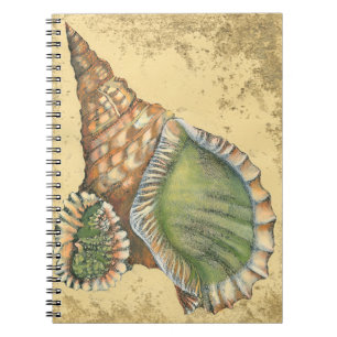 Carnet Coquillage Brown et vert