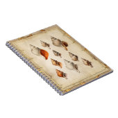 Carnet Coquillage des profondeurs (Côté Droit)