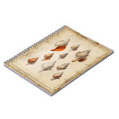 Carnet Coquillage des profondeurs (Côté gauche)