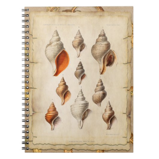 Carnet Coquillage des profondeurs (Devant)