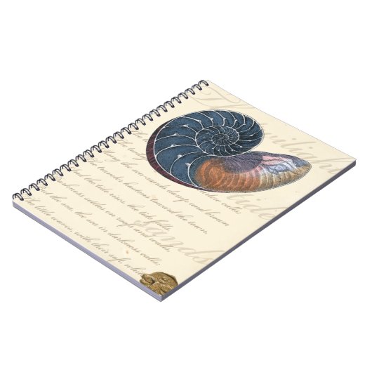 Carnet Coquillage romantique (Côté gauche)