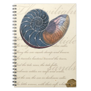 Carnet Coquillage romantique