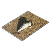 Carnet Coquillage sur la plage (Côté gauche)