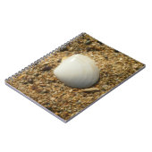 Carnet Coquillage sur le sable (Côté gauche)