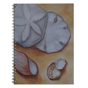 Carnet Coquillages à la peinture aquarelle de bord de mer