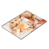 Carnet Coquillages arrière - plan : thème marin. (Côté gauche)