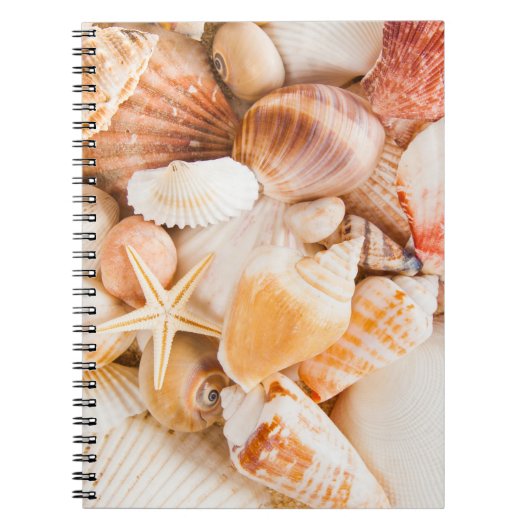 Carnet Coquillages arrière - plan : thème marin. (Devant)