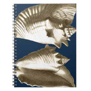 Carnet Coquillages de conque de sépia