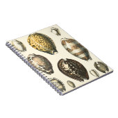 Carnet Coquillages De Forme Unique (Côté Droit)