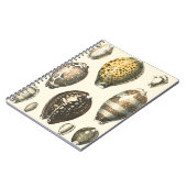 Carnet Coquillages De Forme Unique (Côté gauche)